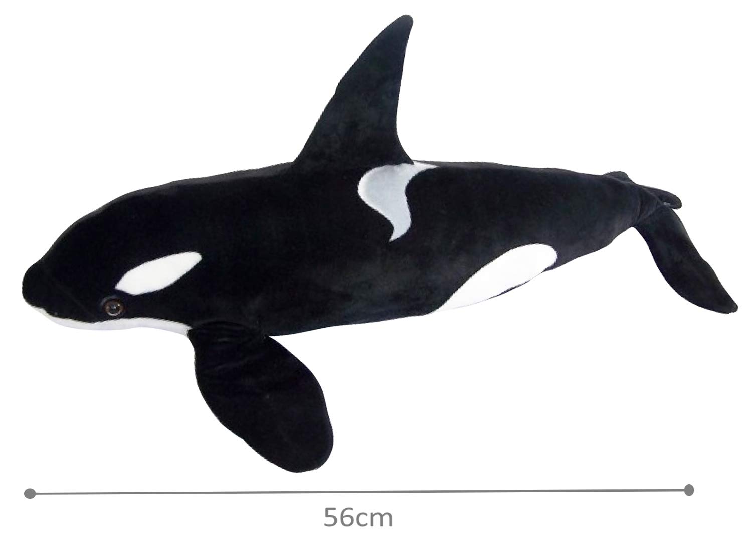 シャチの牙 Amazon.co.jp: TOSSDICE ヌイグルミ シーアニマル/シャチ 60×10×10cm